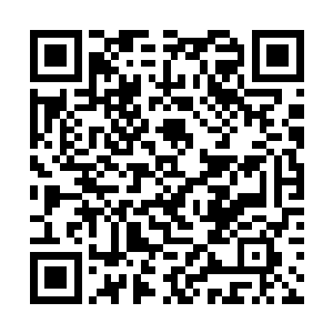 红梅如血自然是暗指张经安和遭受清洗的伤者或死者二维码生成