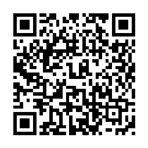 红毛怒吼一声第一个骑着摩托车撞向了南宫凤鸾二维码生成