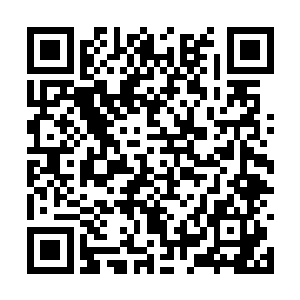 红毯秀已经开始了――需要我去爆一些爆米花来吗二维码生成