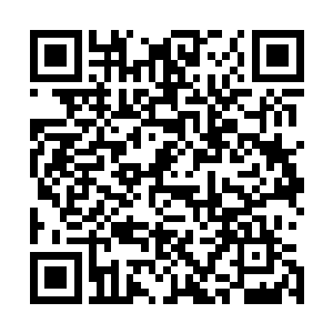 红河公司就是杨老亲眼见证柯震是如何一步一步做大起来的二维码生成