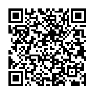 红河集团公司已经将非凡集团的业务给蚕食得一干二净了二维码生成