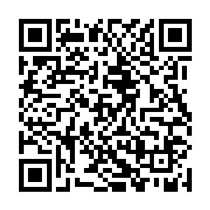 红河集团显然也收到了非凡集团召开新闻发布会的消息二维码生成