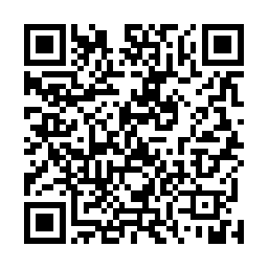 红河集团虽然现在得到了方家为首的那些二流家族的巨资二维码生成