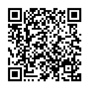 红珊瑚资本在溪海集团的董事会里将拥有很大的投票权和决策权二维码生成