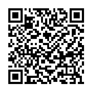 红色的蝴蝶在晶莹剔透的雪花之中随意的飞舞着二维码生成