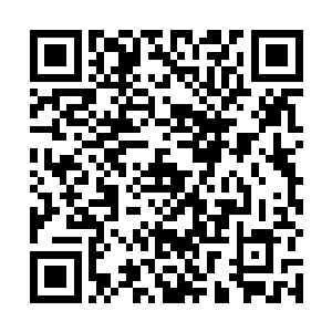 红苕才不怕小姐呢……小姐是这世上对红苕最好的人了二维码生成