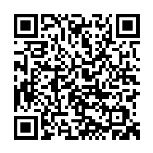 红莲七品…也是该让你出去见识见识外面的世界二维码生成