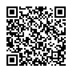 红莲与碧云以及一旁的星殇在听到北辰兰的话后二维码生成