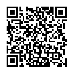 红莲和小侍女立刻带着发蒙的莲花生走进了院子的房间里二维码生成