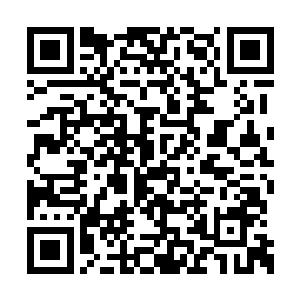 红菱也是尝试和球球一起杀进镇天符的空间之中二维码生成