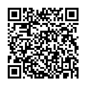 红衭往老鼠鼻子里塞毒蛇这一段是临时加进来的桥段二维码生成