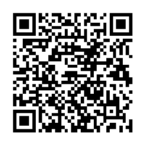 红袍童子终于可以肯定剑尘身上的剑气已经消耗一空了二维码生成