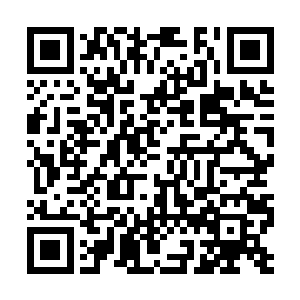 红袍童子那虚幻的身躯已经在这股火焰中完全消融二维码生成