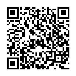 红通通的眼眶和未干的泪痕配着一脸惊魂未定格外可怜二维码生成