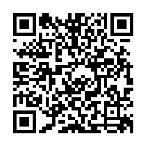 红雪和飘零都要回家的事情被夜门的成员请示到魅影跟前的时候二维码生成