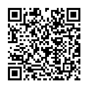 红鸭可不会将吃完了眼珠与脑子的金鳞鱼甩给修士二维码生成