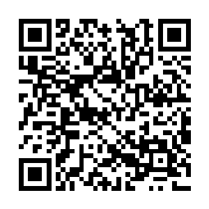 纤弱的张潇晗的身体竟然焕发出和巨人一般的力量二维码生成