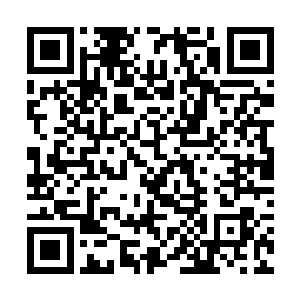 纤纤玉手捏着棉签正聚精会神的在给脚趾甲涂蔻丹呢二维码生成