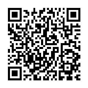 纤细如嫩藕的手脚上简单套着几个荆棘炼制而成的手镯和脚镯二维码生成