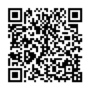 约定了时间一起喝酒后便带着秦洛去和其它的院系领导认识二维码生成