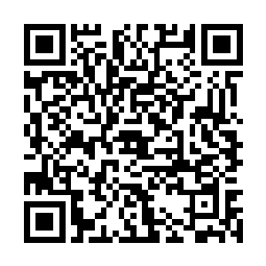 约瑟夫伸手一指海面上还在不断跳起的唐刀鱼问道二维码生成