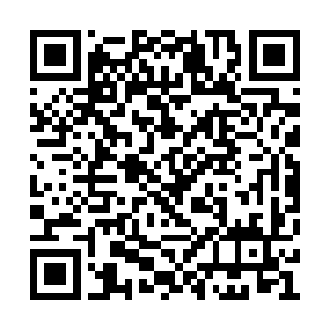 约瑟夫原本以为雨果会借着有人的机会逃脱话题二维码生成