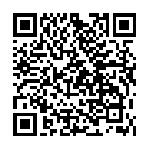 约瑟夫并没有明确表示他是否同意克拉克的理念二维码生成