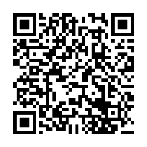 约翰·劳斯和西尔维娅被发现死在大马士革的高级公寓里二维码生成