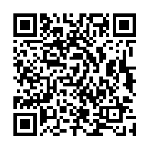 约翰・莫特森的嘶吼声很快就淹没在了切尔西球迷的嘘声中二维码生成
