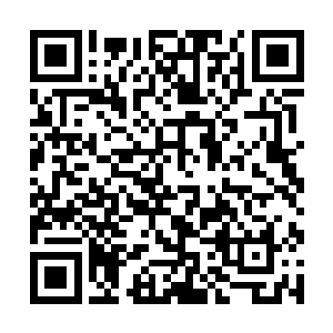 约翰尼今年主演的了一部国内票房已经超两亿的大片二维码生成