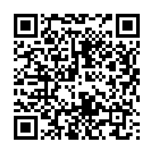 约翰逊和莉亚夫人则陪着杜克走向别墅配备的私人沙滩二维码生成