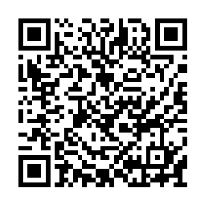 约莫是脱还是不脱什么的占据了大部分人的脑子二维码生成