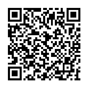 纪委的人在独山镇镇政fǔ办公室将丁长生带走了二维码生成