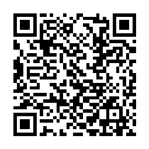 纪平从下人口中得知霍君白宅子中的丫鬟被蛇咬了二维码生成