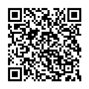 纪念简单地向二人道出之前发生林樱的一些事情二维码生成