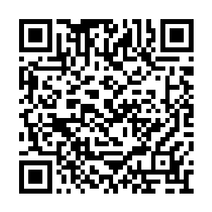 纪成藩一行人在离开小茶馆不久就各自分头走了二维码生成