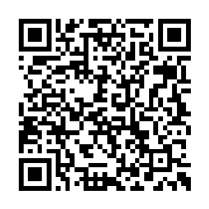 纪显一点也没有自己竟然将小孩子吓哭的羞愧感二维码生成