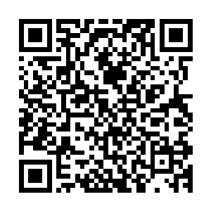 纪显特地和她提了下外界传言的那两个从西北带回来的外室子二维码生成
