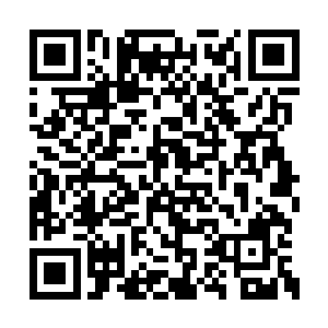 纪梓投射在空间介质上的影子轻微地晃动了一下二维码生成
