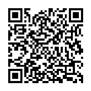 纯以第三者视角……方舟集体目的就是抓住星核回归的公民任务二维码生成