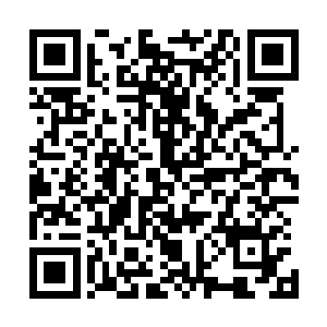 纯净洁白得就像厄尔奇达山顶上那千年不化的最干净的积雪二维码生成