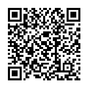 纯净的本源妖力包裹在手掌上小心而专注的接近光茧二维码生成