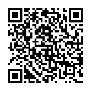 纯正的起源之力由你自己强行炼化的起源之力终究是有差别的二维码生成