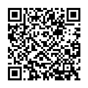 纯粹就是在惊慌中的一个意识自我保护动作罢了二维码生成