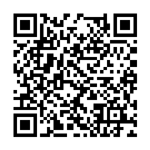 纯粹是为了让那边研究小奶娃的身体为什么会这样二维码生成