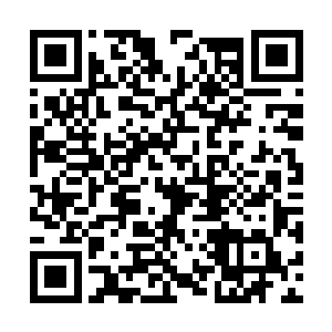 纯粹由混乱魔力凝聚成的一对爪子看上去锋锐无比二维码生成