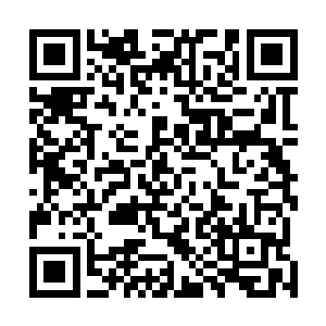 纳兰夜等人此时皆是将闻先生当作了自己最后的救命稻草二维码生成