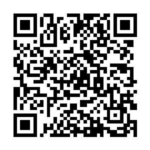 纳兰夜自然不可能给夜一几个时辰的时间来查探山势二维码生成