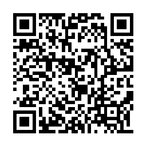 纳合不太理解主上为什么与这两个少年说这么多二维码生成