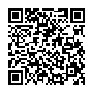 纳甲土尸三人忙了半个多小时才把所有房间都安置了定时炸弹二维码生成